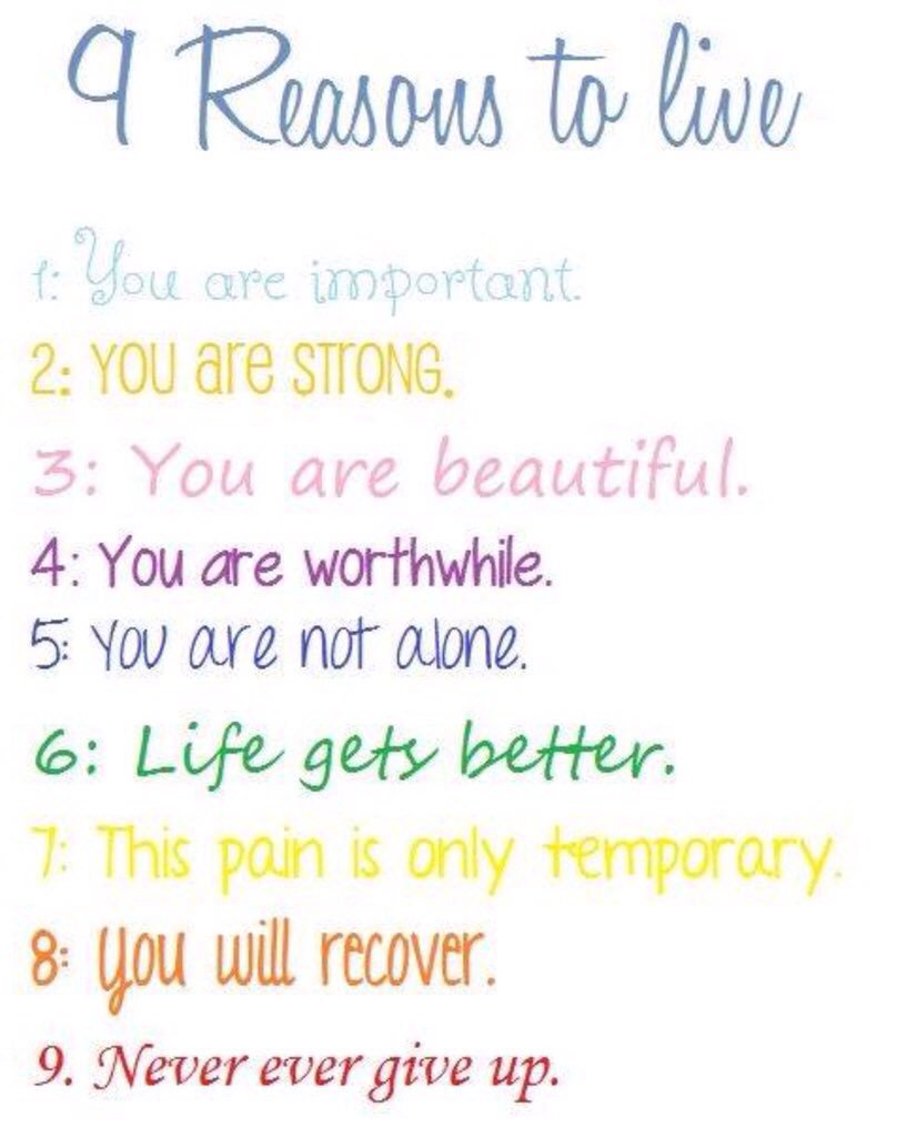 Rugby Fan tweet media