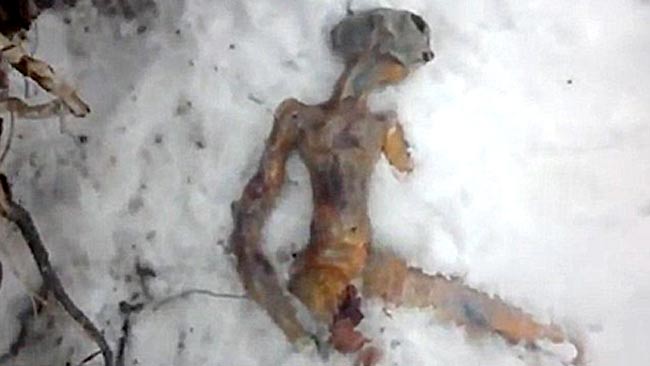 freerandomshit's tweet image. What's Your Opinion? Does Aliens Exist? Check This Out And You'll Not Believe Your Eyes! bit.ly/1o8c1E9