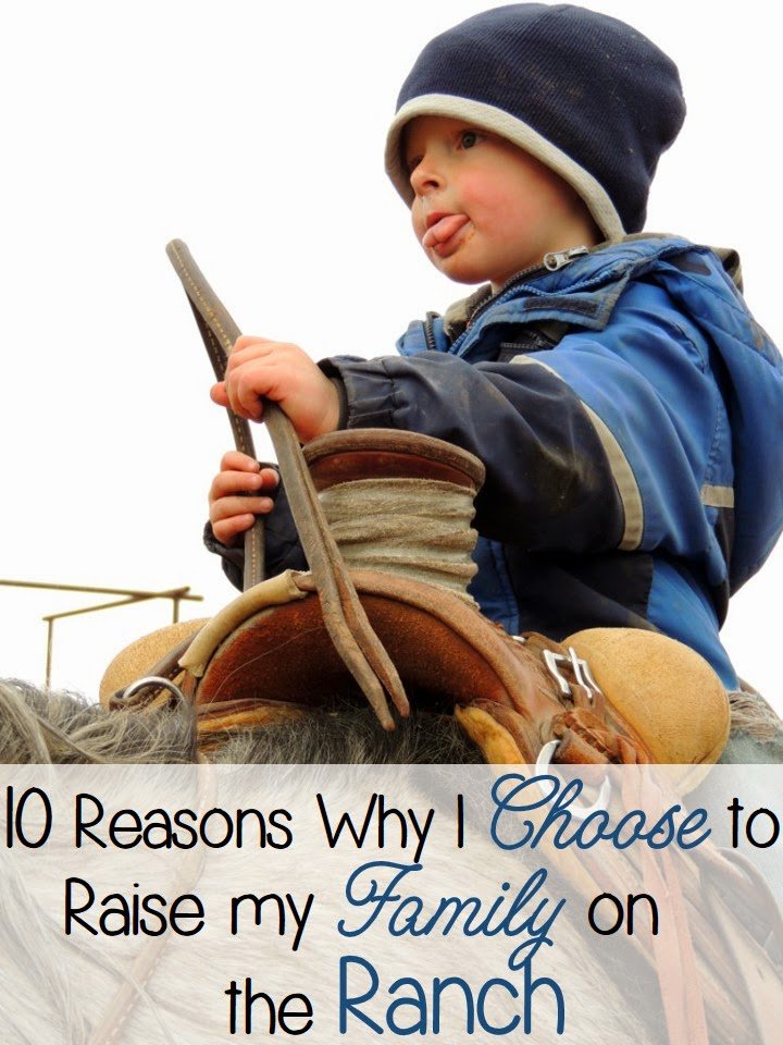 OCA_ORcattle's tweet image. "10 Reasons Why I Choose to Raise my Family on the Ranch" #Ranchkids 
theidahorancherswife.com/2014/04/10-rea…