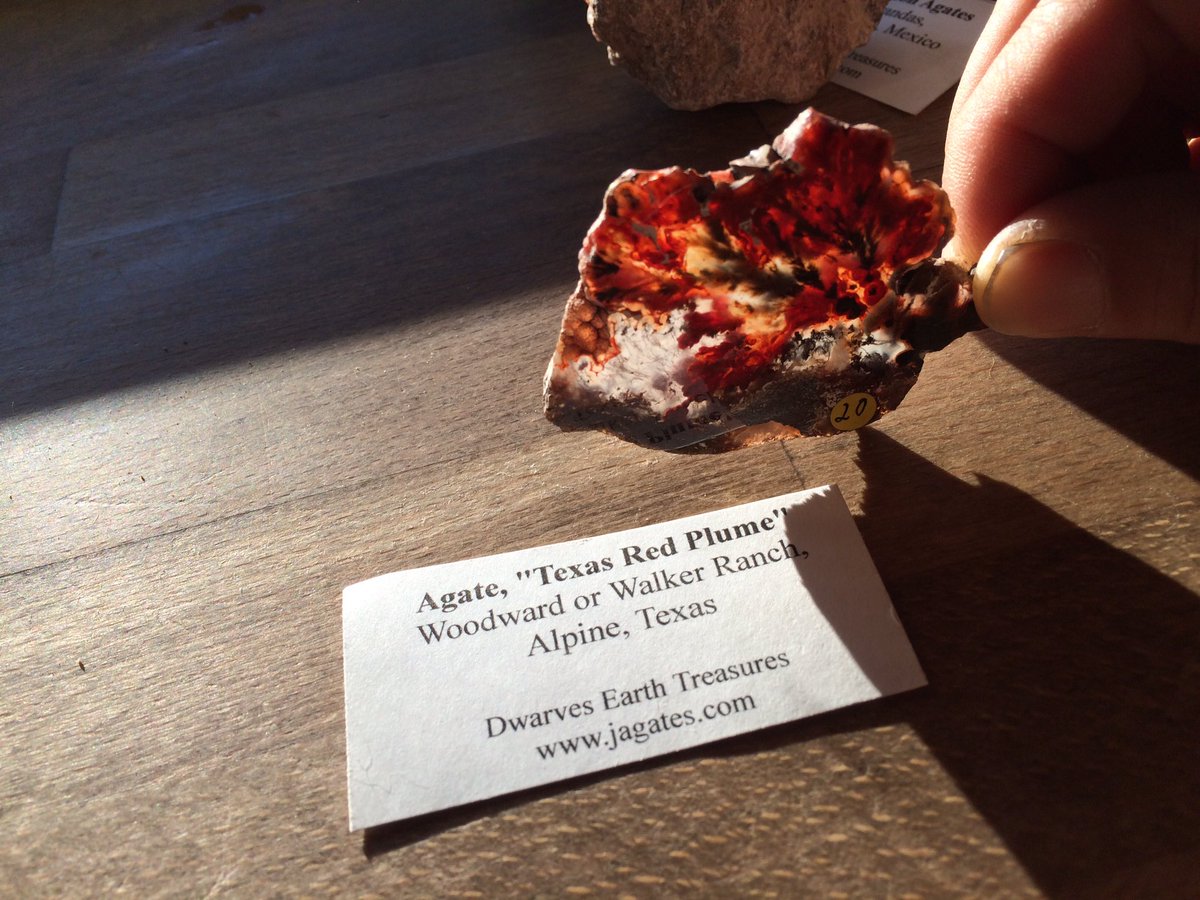 sondy's tweet photo. More agates. #rocktweeting https://t.co/MtAMdGoCbO