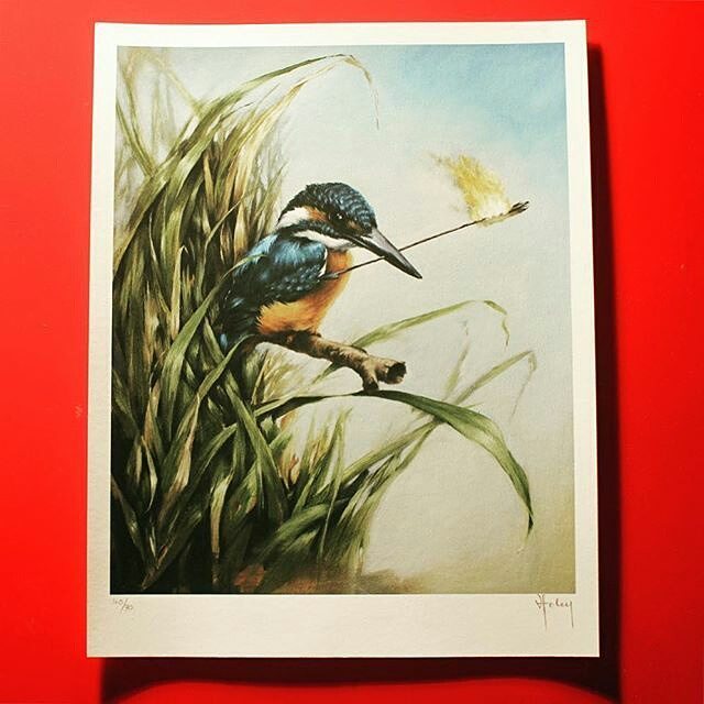 Repost from @thevacvvm: Here's a look at 'When Kingfishers Catch Fire', one of two new pri… ift.tt/1O5JTGz