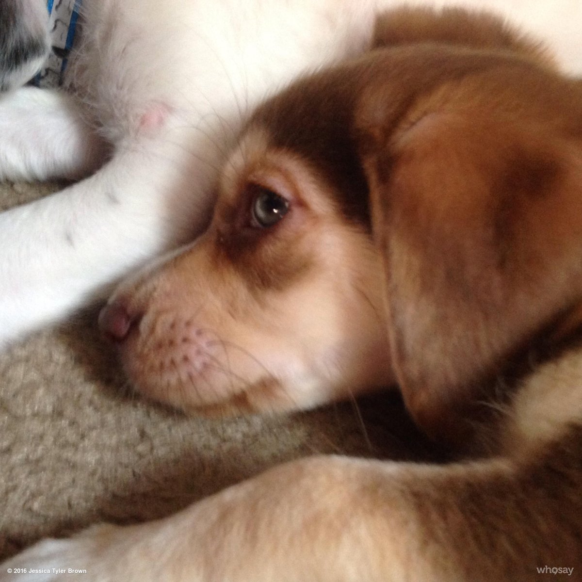 Wow!  So much is happening in my life, but the best thing is my new friends.