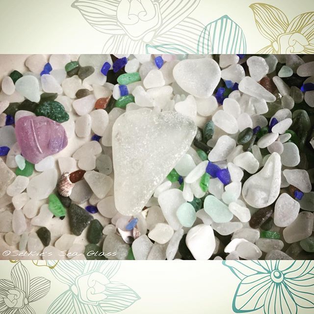 starfishstuff's tweet photo. Feeling creative💙💜💛#seaglass #seastar #beachbums #beachglass #vancouverisland #beachcombin… https://t.co/CmTHmC2TZq https://t.co/tXEEclwaMp