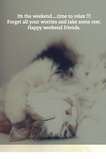 SunDoctors tweet media