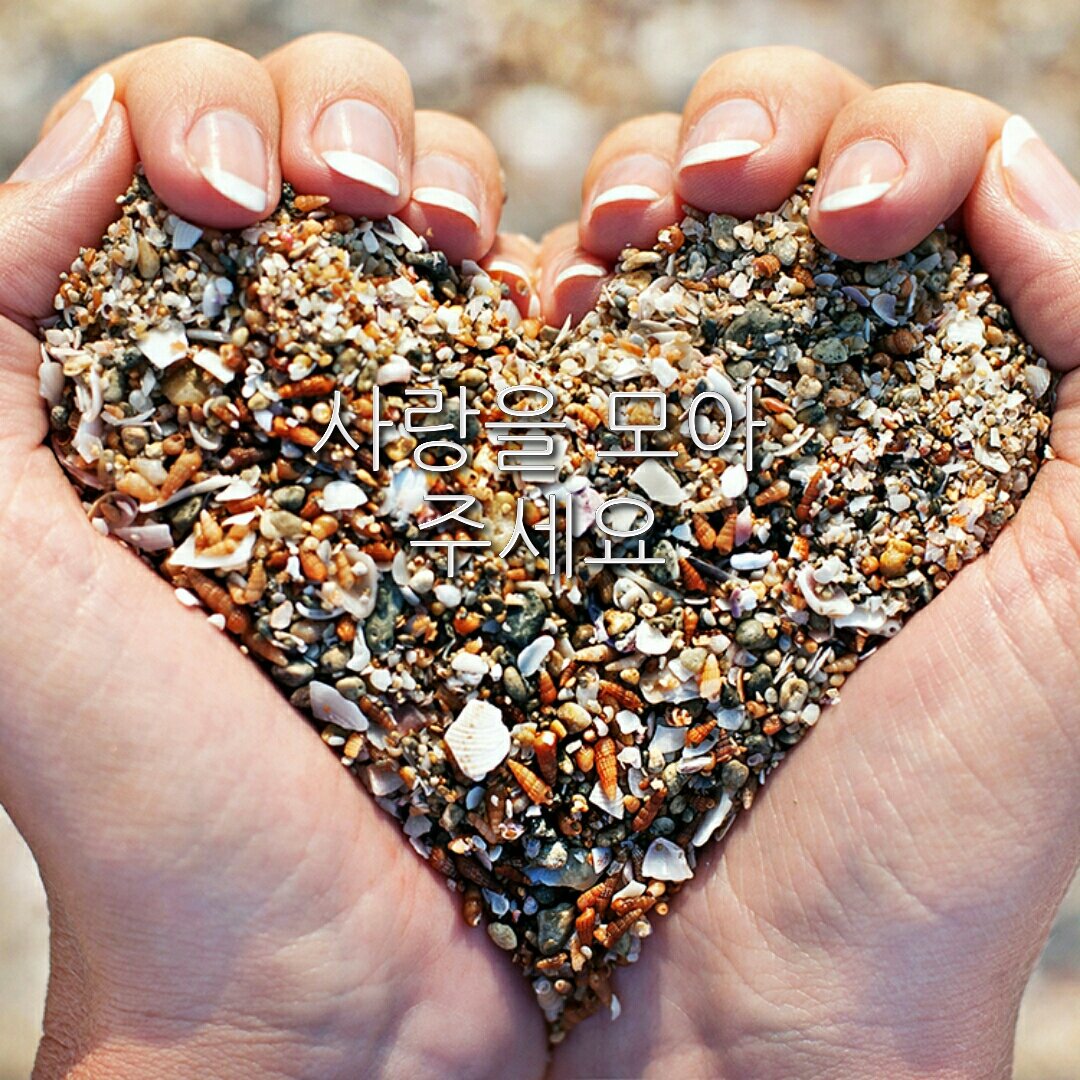 engtra's tweet image. 희망의 BOX첫 신청 기관은 시흥장애인복지연합입니다.