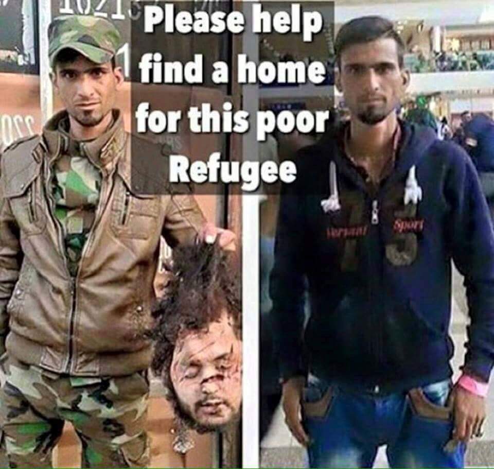 Image result for pics of find a home for refugees