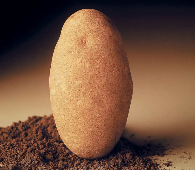 PotatoPro's tweet photo. Pass the Potassium, with Idaho Potatoes #ag #health #potato #potassium #ID

https://t.co/LIfkRogzx2 https://t.co/N6uV2oRpSU