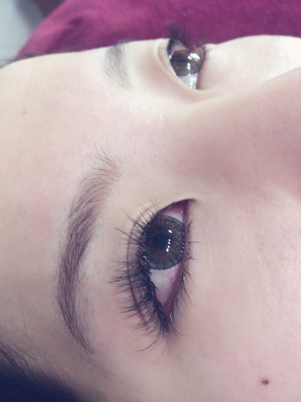 La Foxy Lafoxy4 Twitter