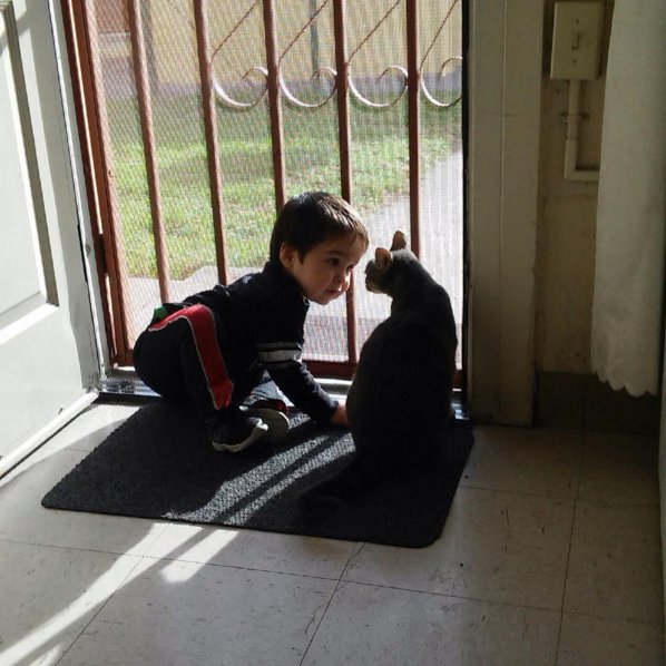 PixagonStudio's tweet photo. Photo of the Week: When child and cat meet. #photooftheweek #cat #child #cats #funny #photography https://t.co/SHLIjF3zk5