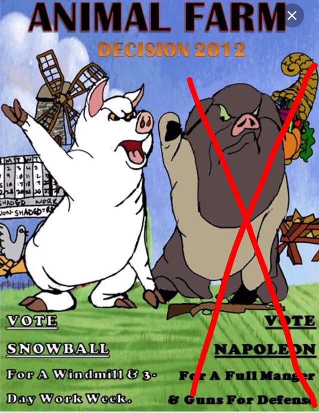 Snowball (@snowballthepigg) / Twitter Snowball (@snowballthepigg) / Twitter