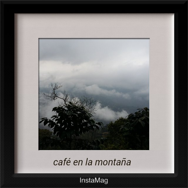 CedeCAFE's tweet photo. #café, #cedecafe, #visitaa finca, #cosecha16 https://t.co/GV58VpBxIG