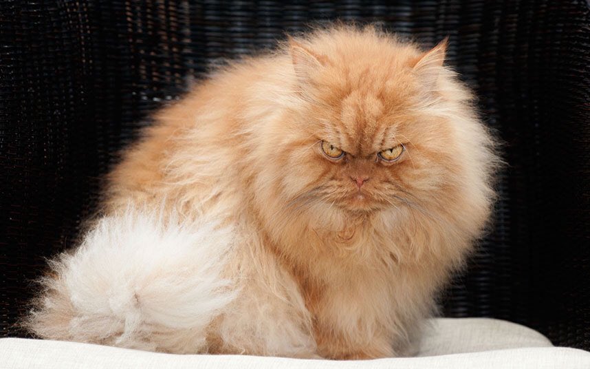 elspeth_huyett's tweet photo. #currentfeelz https://t.co/n3KK1uXaB9