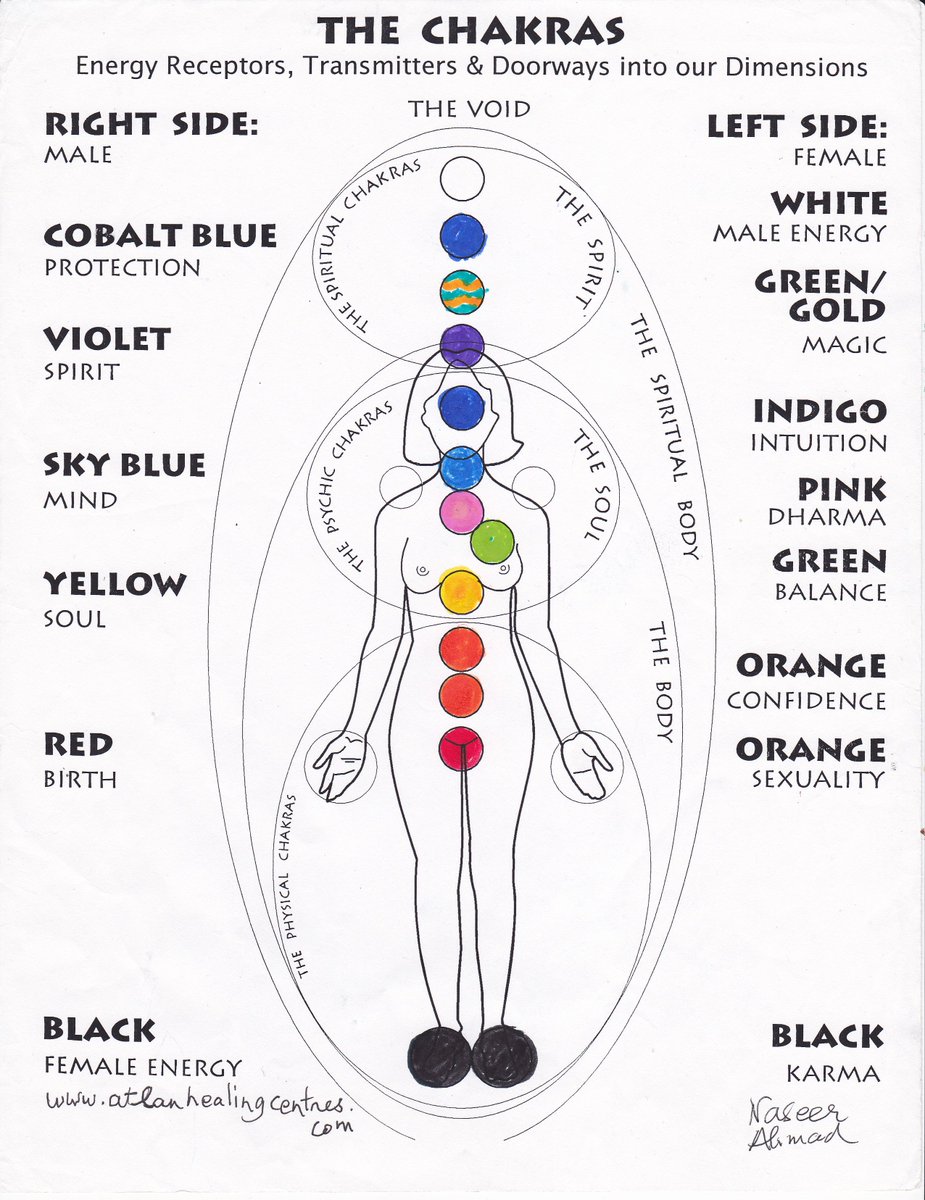 manfromatlan1's tweet photo. The 12 chakra system, first taught in 1991 https://t.co/WqreQiMzDV