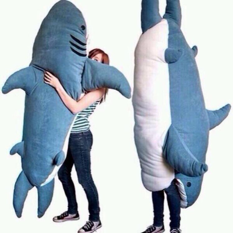 LifeOfAMermaid's tweet photo. Why are girls asking for a giant teddy bear for Valentine's Day when this exists... #mermaidprobs https://t.co/Quw6JLtxoW
