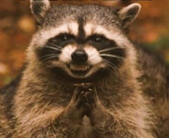 jessinafg's tweet image. Yo, con todo lo quiero hacer... #acelerator