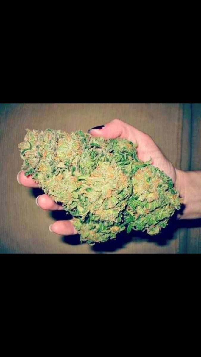 CanabisLord's tweet photo. That's one beautiful nug 💚💚 https://t.co/vsnXWh9bJJ