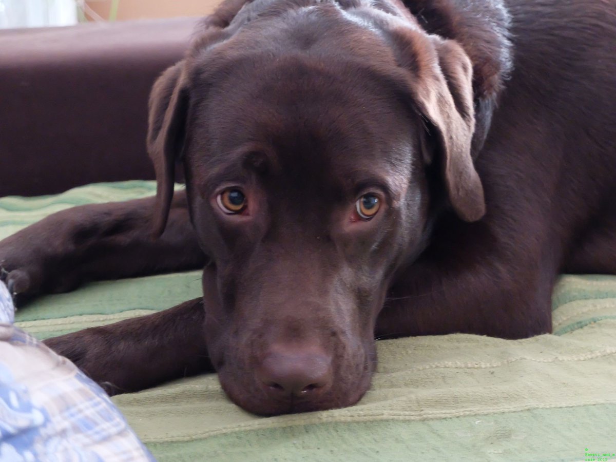 Berti_and_Ernie's tweet photo. When will mommy be home? https://t.co/eb562b4Efd