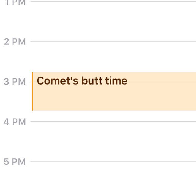 2girls1pupshow's tweet photo. I don't want to talk about it. #butttime https://t.co/mi4bh68wag