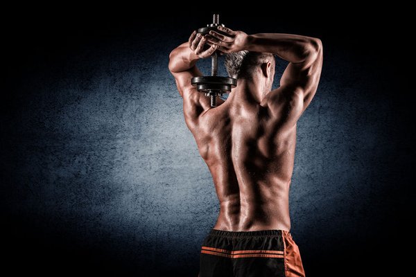 3JosephBMoore's tweet photo. #exercises to hit all three tricep heads  fill your t-shirt sleeves
#fitness #bodybuilding #diet #weightloss #fitfam https://t.co/EsT6oYGqWG