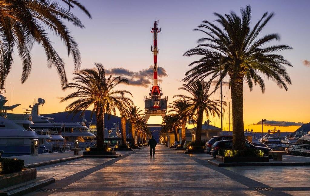 BPlusTour's tweet image. Пальмовая аллея в порту Тивата. Черногория 🌴

#хабаровск #крвсивыеместа #путешествия