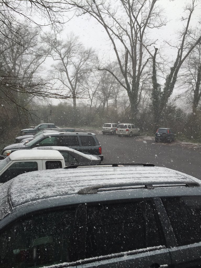 Another snowy day in Athens, Ga 🌨❄️