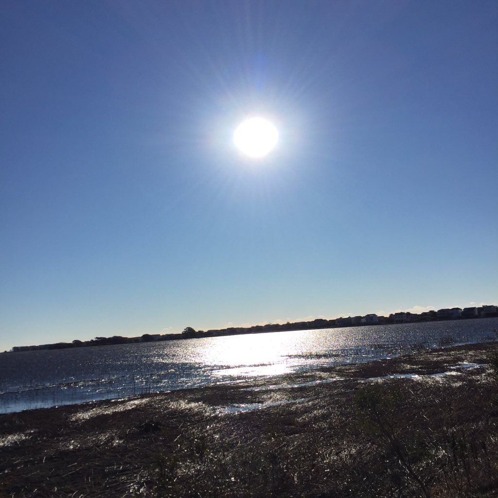 SunsetBeachTradingCo tweet media