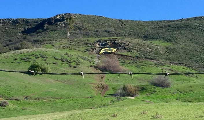 CPPrezArmstrong's tweet photo. How is everyone enjoying the reopened Cal Poly P hike? RT if you've gone up for the view! #CalPolyProud #CalPolyP https://t.co/rRRbJ4aYpj