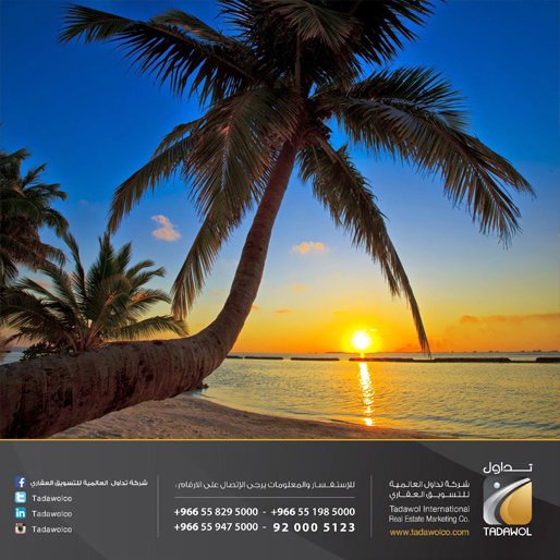 "تركت القلب يحصي من هواه فكنتم فيه أجمل من حواه"
"يا أحبتي لكم مني سلاما نسيما  يملأ  الدنيا  شذاه "

#صباحيات