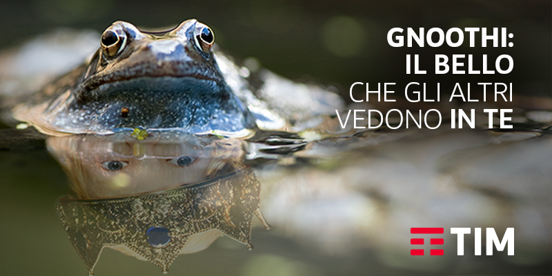 TIM_Official's tweet photo. Un social per sapere come veniamo realmente percepiti da chi ci sta attorno: arriva Gnoothi https://t.co/bQ0m3vSMpP https://t.co/oEIA5tiOlh