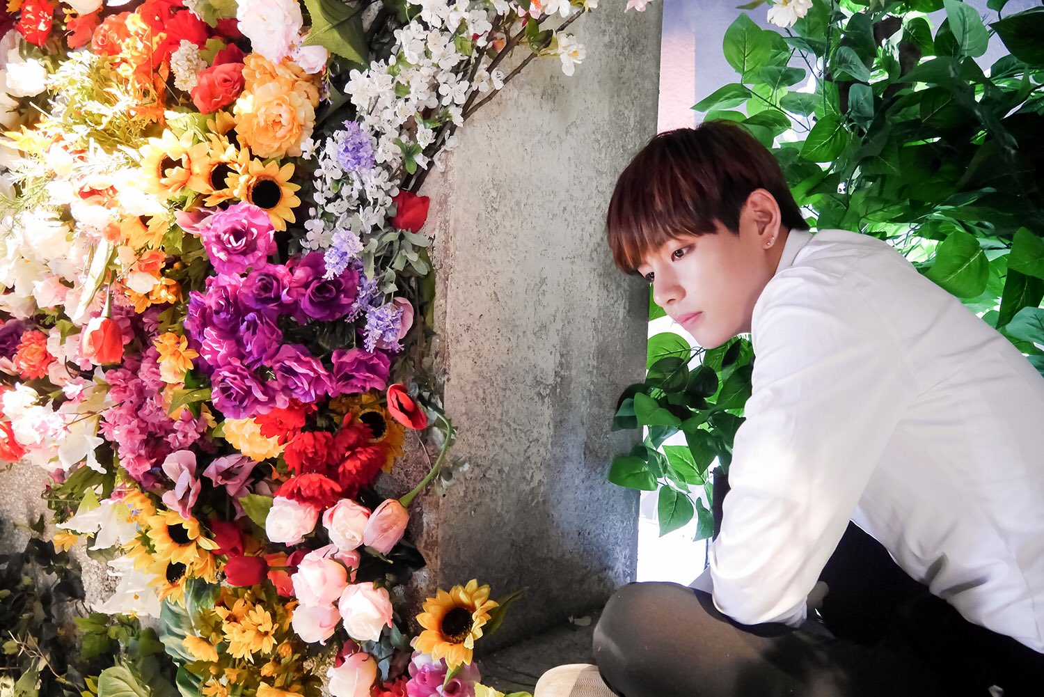 [Twitter/Trans] BTS JAPAN OFFICIAL Twitter [160210]