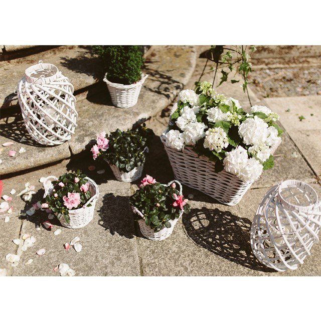 VodasBodas's tweet photo. Rinconcito 😍🌺 #nuestrasboditas #bodaslugo #bodasgalicia #deco #decoflower #flores #rincon … https://t.co/YIYBvGkpJf https://t.co/7AibMu0zeR