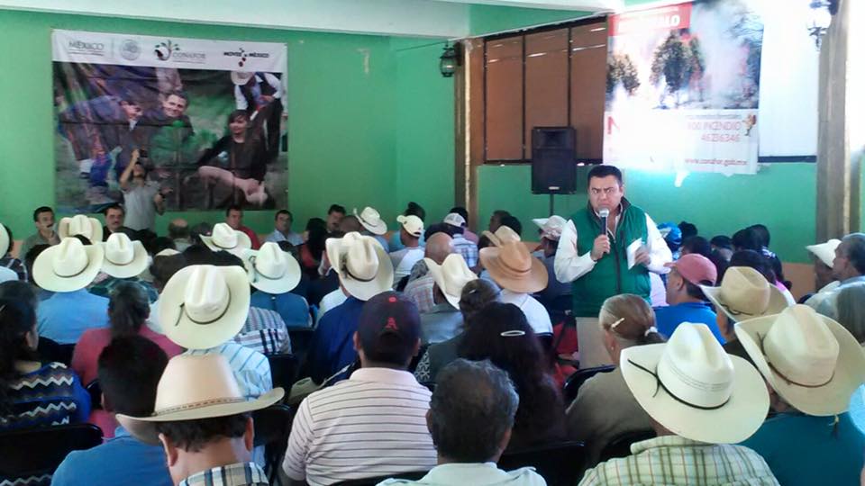 RexaBruno's tweet photo. CIERRE DE VENTANILLA DE LOS PROGRAMAS PRONAFOR 2016.@CONAFOR_Hidalgo @jaimegalindo33 https://t.co/oWWtLRuyj9