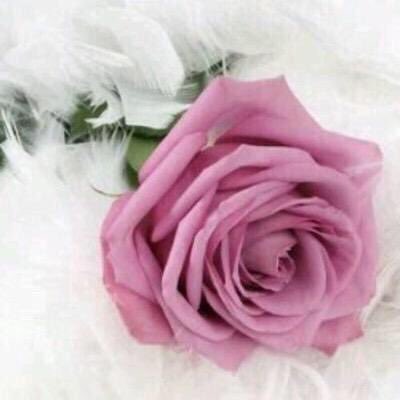 Essozanati's tweet photo. لا أجيد لغة الصباح
دون وجودكم
فأنتم جميع اللغات
والصباح حروفكم 💕

   صباح الورد https://t.co/YvHuMr4qXK