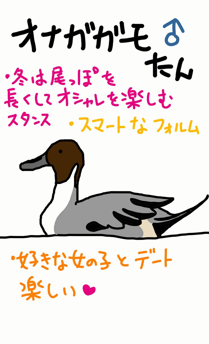 ট ইট র 江藤ぴりか 野鳥イラスト カモさんて識別難しい 都市公園の池で見かけても帰って図鑑とにらめっこ 修行が足らぬ オナガガモさんの 女の子も羽のウロコ模様がとっても素敵なんだー ｳﾌﾌ T Co Ubpunc5rzg