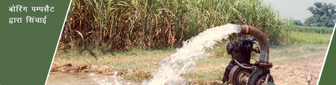 Minor Irrigation tweet media