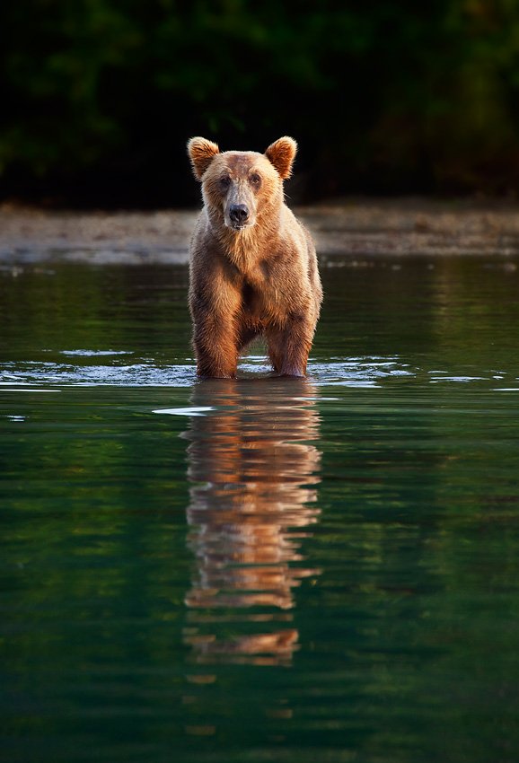 AndreiAndrei63 tweet picture