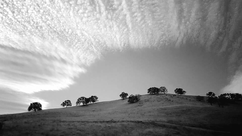 albauer89's tweet photo. Morning Hike. #blackdiamondhills #eastbayregionalparks #blackandwhitephotography @ebrpd @calparks #antiochca https://t.co/RXStqYwHuh