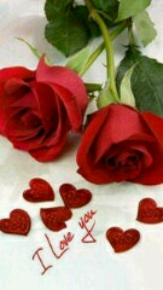 حكايه تبدأ ، وحكايہ تنتھي والايااَم تمضي ولاَ شي يدوم ...!❥