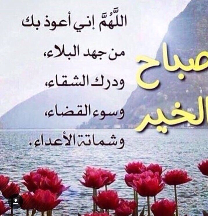 ---
---
 تم الإرسال عبر واتساب