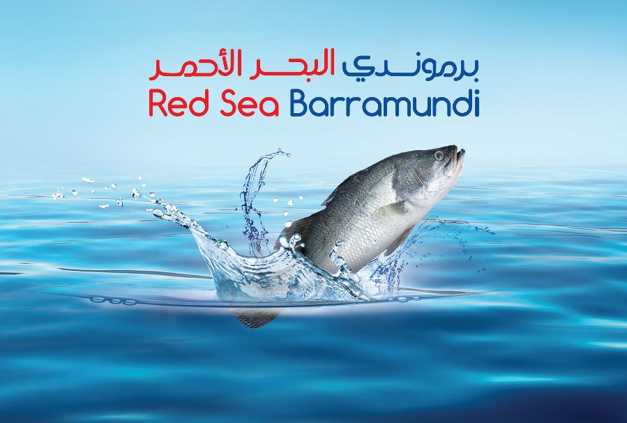 NaquaSeafood's tweet photo. #RedSea #Barramundi
https://t.co/Gmj91SqWAU
#fish #aquaculture #saudiarabia #naqua #fishfarming #seafood #allith https://t.co/uSa5Cs3RXU