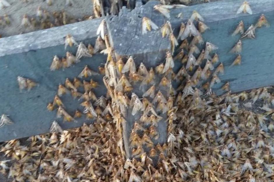 mrdlark's tweet photo. IT'S #MOTHAGEDDON! @zaramargolis
https://t.co/YInvU1PTCB https://t.co/foNTyzVu8T
