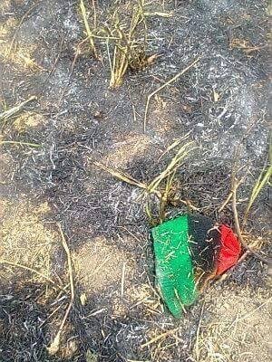 mikkeyrokko's tweet photo. @fhollande Nigeria forces burnt grass to cover evidence of mass killing by the Biafians people. #FreeBiafra. https://t.co/qLSHXB3v02