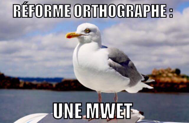 TonyPeaceGiver's tweet photo. #orthographe #ReformeOrthographe #france #Hollande #najatbelkacem https://t.co/w3dR5bRDcq