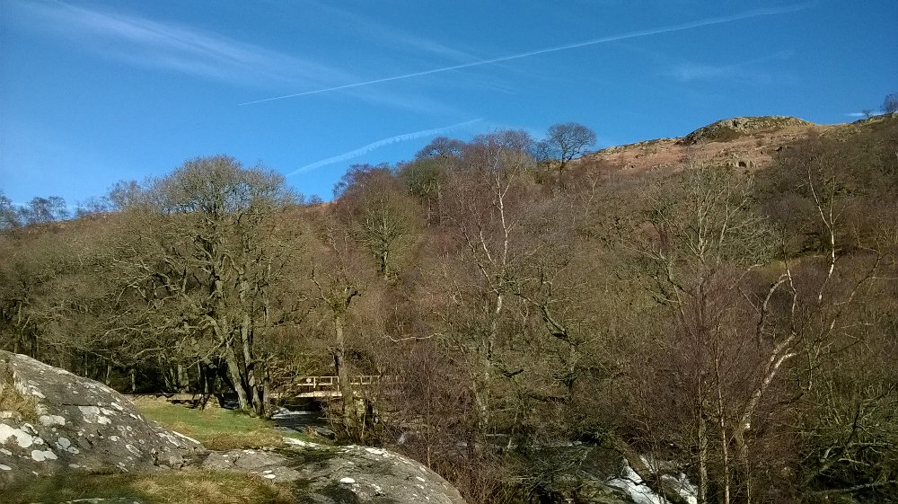 NTCentralFells's tweet photo. Today's #ViewWithABrew. :) https://t.co/JwKncS2Kzm