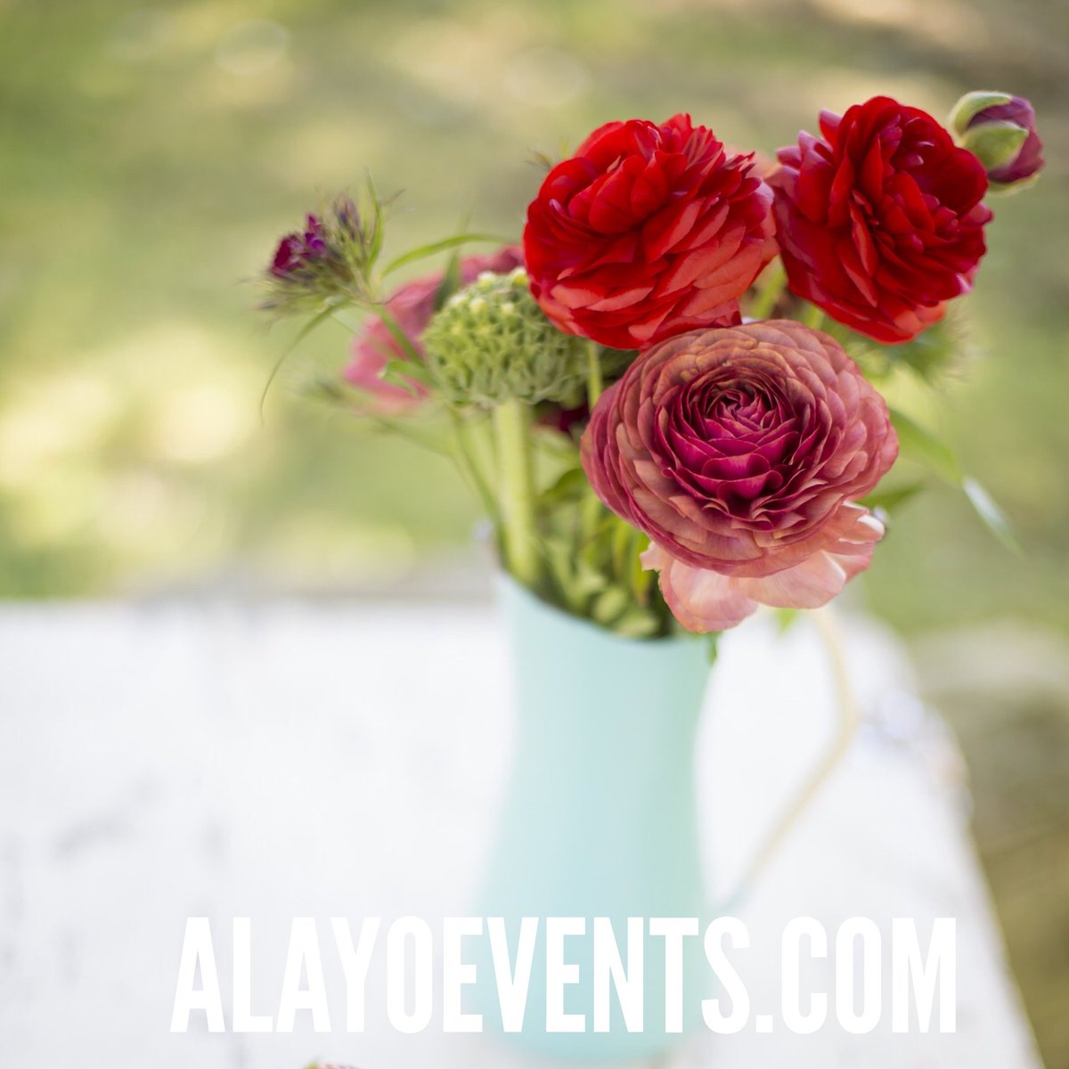 alayoevents's tweet photo. You picked your #flowers now what are they going to go in? #case #accent #alayoevents https://t.co/4V9UmoRhBT https://t.co/ZD6j66vDeH