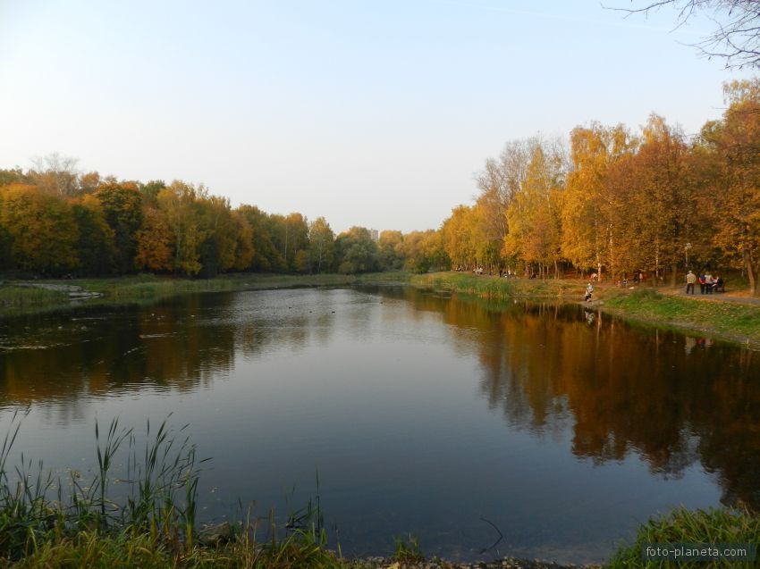 Фермские пруды. Семин пруд степановское. Ждановский пруд рыбалка. Владимировские пруды москва. Степановские пруды.