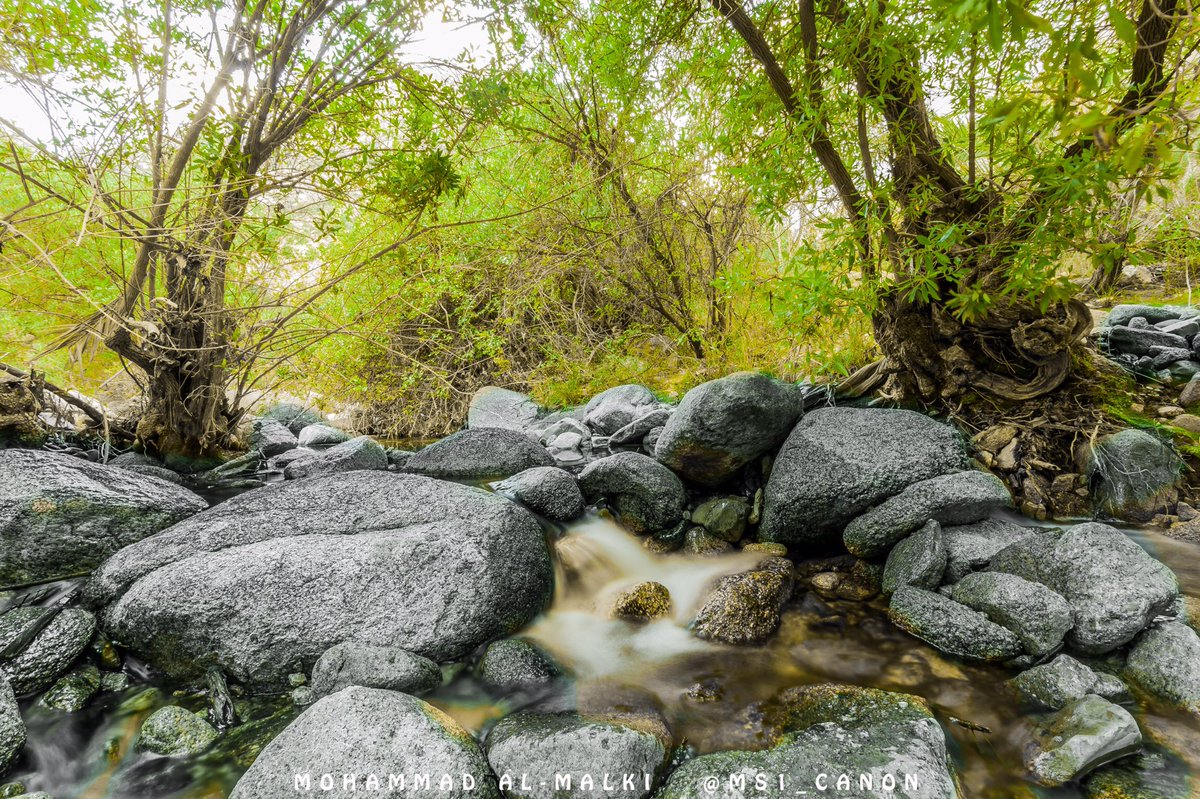 ms1_canon's tweet photo. ضمن سلسلة هشتاق #جبل_بثرة 
#وادي_كيد خلف #جبل_ابراهيم #بني_مالك #بجيلة 
#عدسة_محمد_المالكي 

#ريتويت https://t.co/1WrQyUgHCM