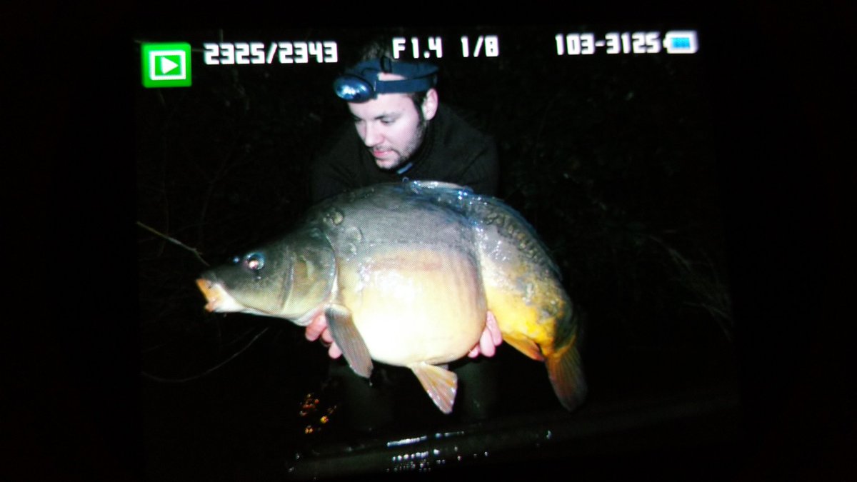 BaitsLive's tweet photo. #Carp #R&amp;L Baits #Fishing # Boilies https://t.co/54PPlajp2g