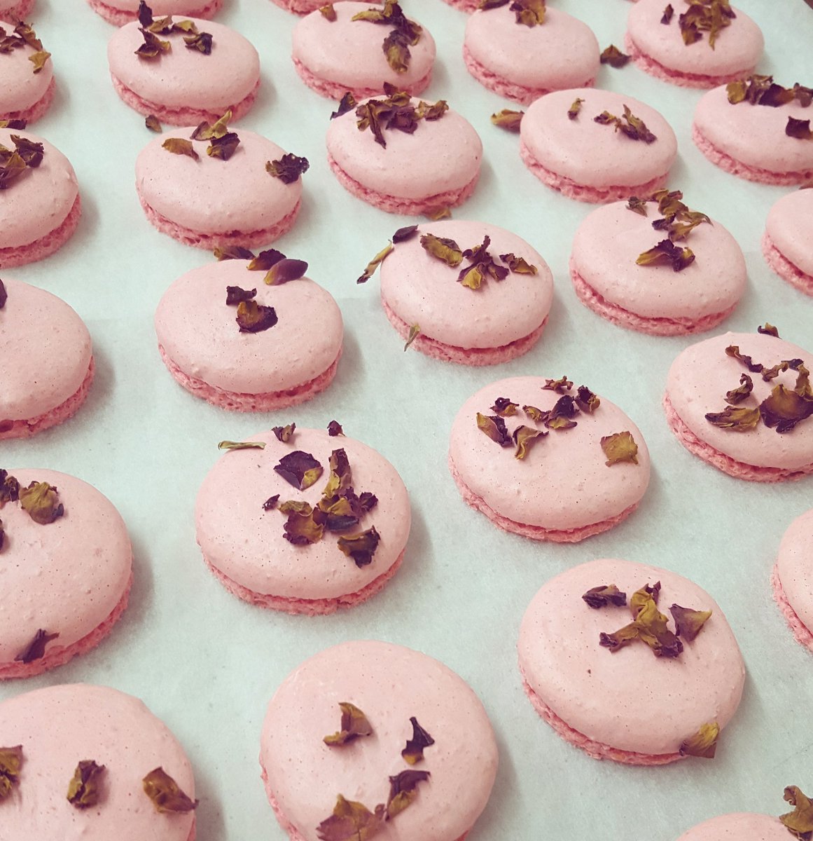 weelyns1's tweet photo. Rose macaroons 🌹 🌹 https://t.co/NfaR4Te5zs