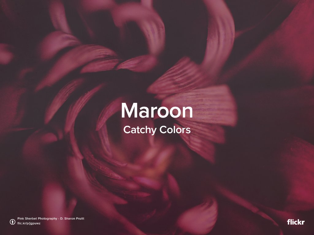 Flickr's tweet photo. Our #CatchyColors theme this week is #Maroon! Join the group and share your pics! https://t.co/enPLa7q494 https://t.co/CwmeysMvjo